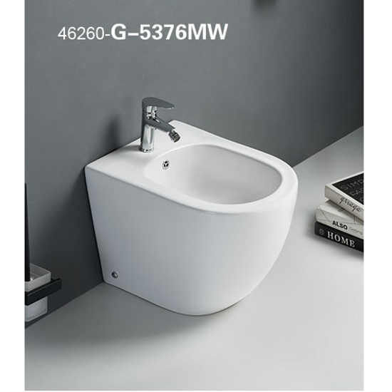 46260-G-5376MW