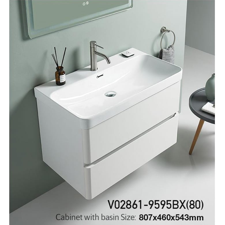 V02861-9595BX(80)